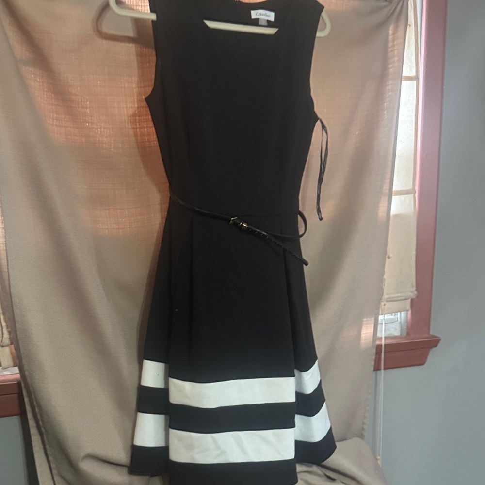 Calvin Klein Black and White Midi Dress-102